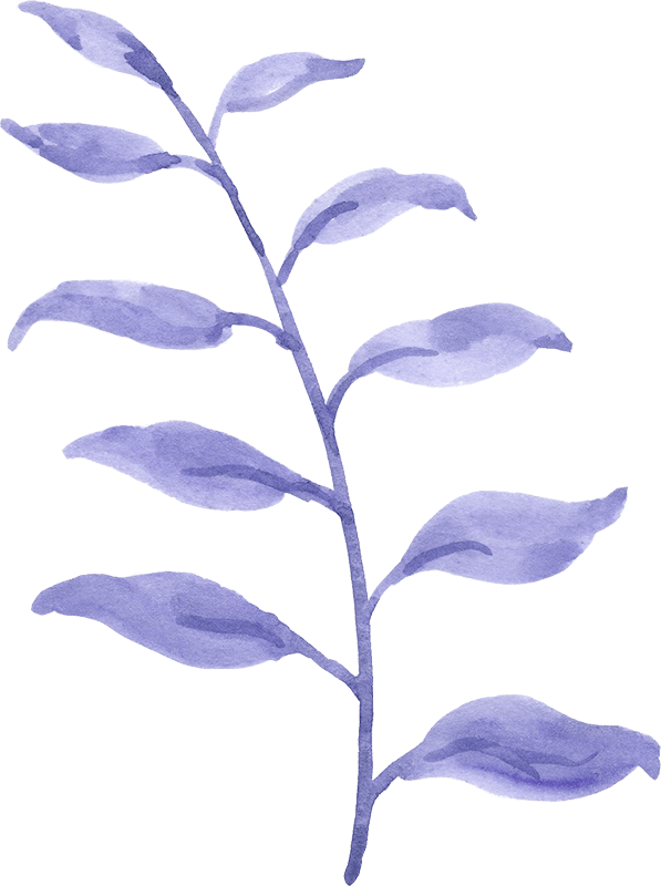illustrazione fiore