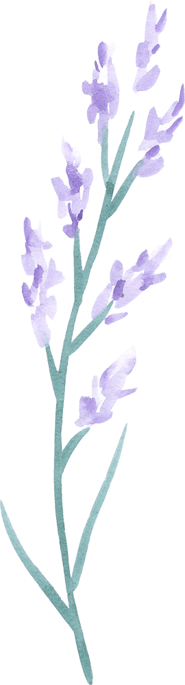 illustrazione fiore